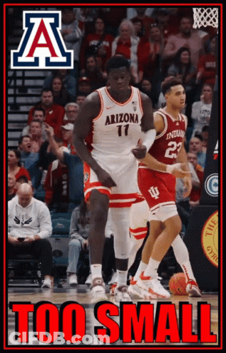 Arizona Basketball Poster Says Too Small In Red Letters GIF