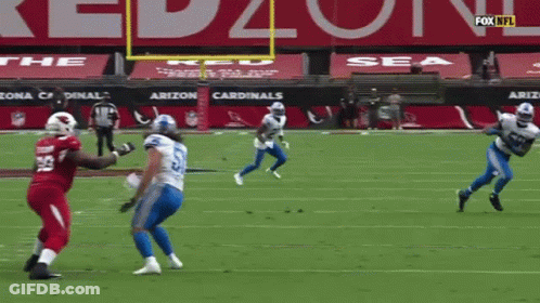 Arizona Cardinals Vs New York Giants Football Game GIF