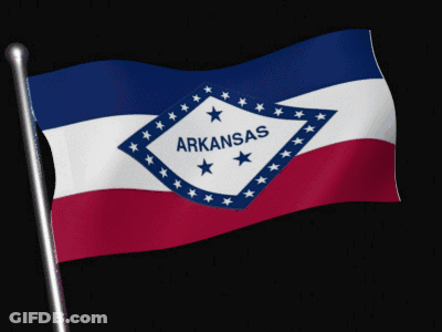 Arkansas Flag Waving In Wind GIF