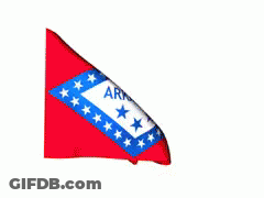 Arkansas Flag Waving In Wind GIF