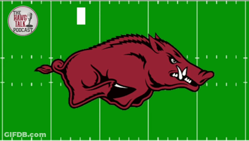 Arkansas Razorback Logo On Football Field GIF