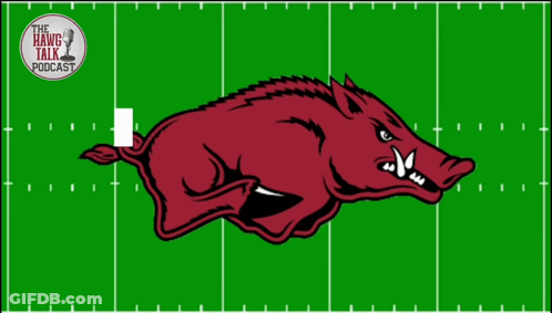 Arkansas Razorback Logo On Football Field GIF