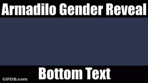 Armadilo Gender Reveal Bottom Text With A Picture Of A Cube GIF