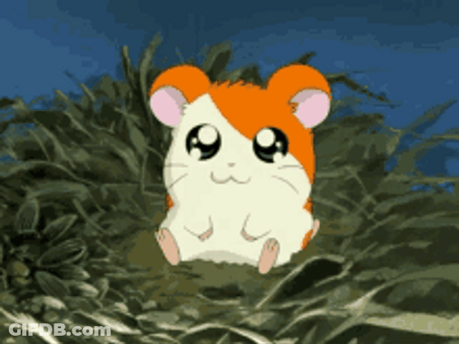 Arms Crossed Cute Hamtaro Adorable Eyes GIF