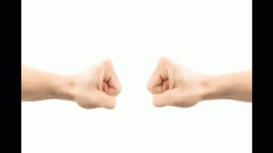 Arnold Handshake Fist Facing GIF