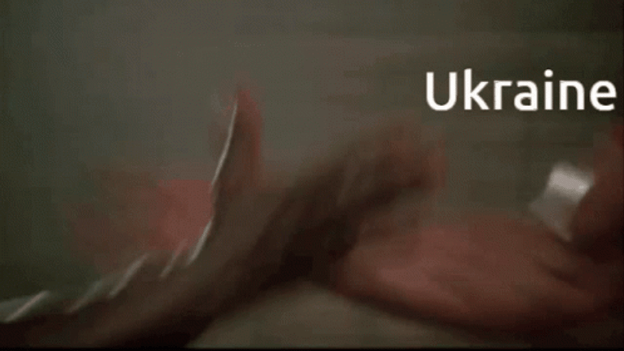 Arnold Handshake Ukraine GIF