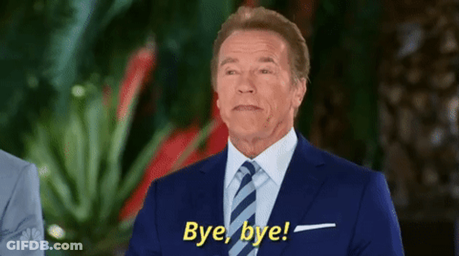 Arnold Schwarzenegger Bye Bye GIF