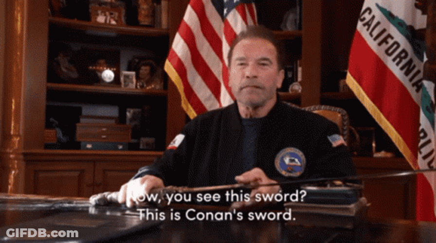 Arnold Schwarzenegger Conan's Sword GIF