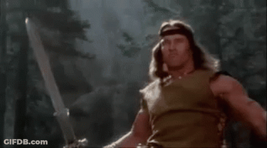 Arnold Schwarzenegger Conan The Barbarian Sword GIF