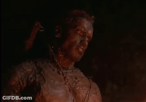 Arnold Schwarzenegger GIF
