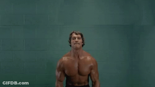 Arnold Schwarzenegger Holding Two Cats GIF