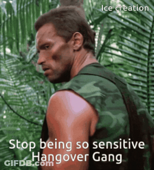 Arnold Schwarzenegger In Terminator Movie GIF