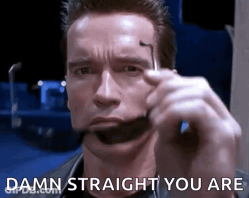 Arnold Schwarzenegger Is Making A Funny Face With The Words Damn Straight You Are Below Him GIF