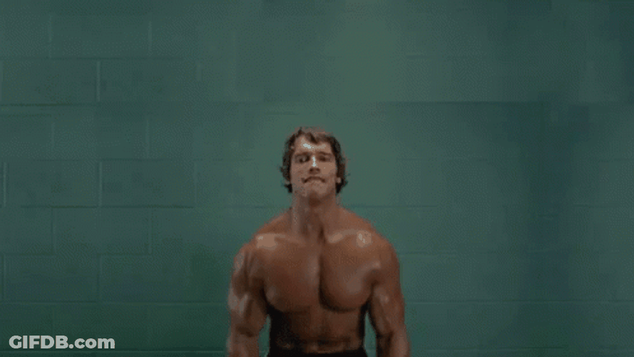 Arnold Schwarzenegger Kitty Dumbbells GIF