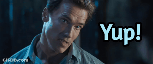 Arnold Schwarzenegger Looking At Camera Saying Yup GIF
