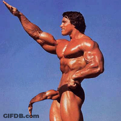 Arnold Schwarzenegger Muscular Bodybuilder Arms Outstretched Blue Sky GIF