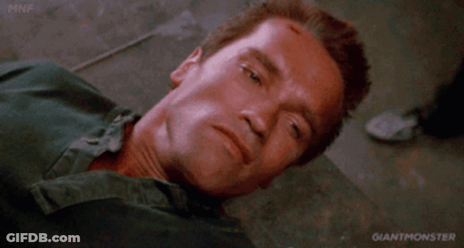 Arnold Schwarzenegger On The Ground GIF