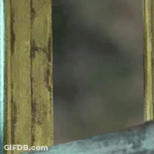 Arnold Schwarzenegger Peeking GIF