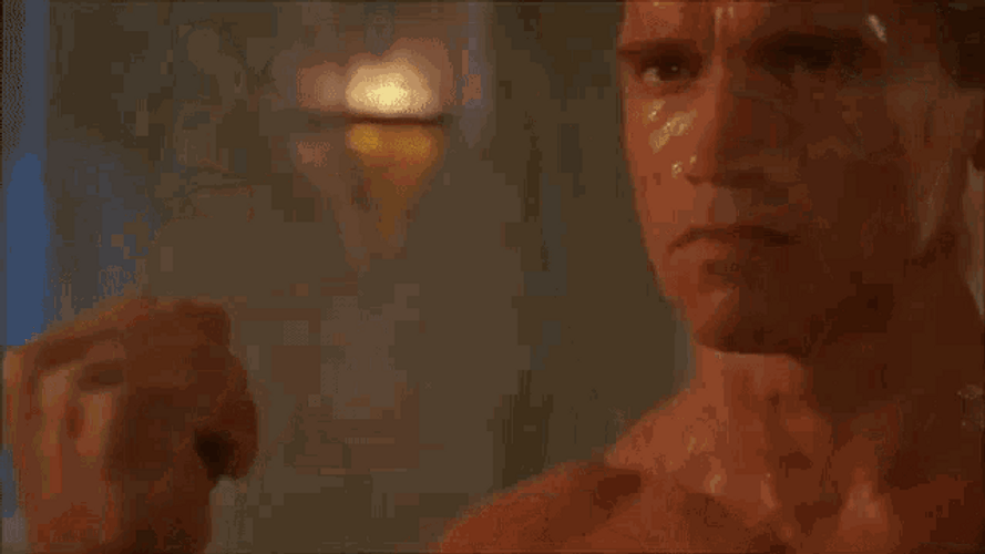 Arnold Schwarzenegger Punching GIF
