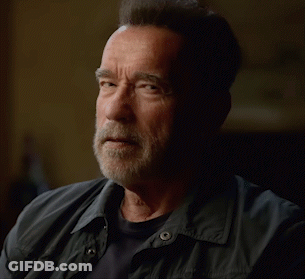 Arnold Schwarzenegger Saying Do It Now GIF