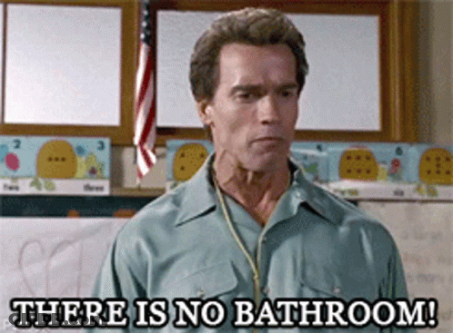 Arnold Schwarzenegger Says There Is No Bathroom In Front Of A Flag GIF