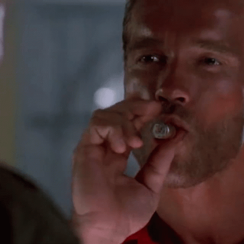 Arnold Schwarzenegger Welcome To The Party Pal GIF