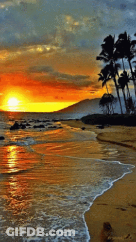 Arsenal Sunset Beach GIF