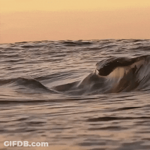 Artistic Blue Wave Formation GIF