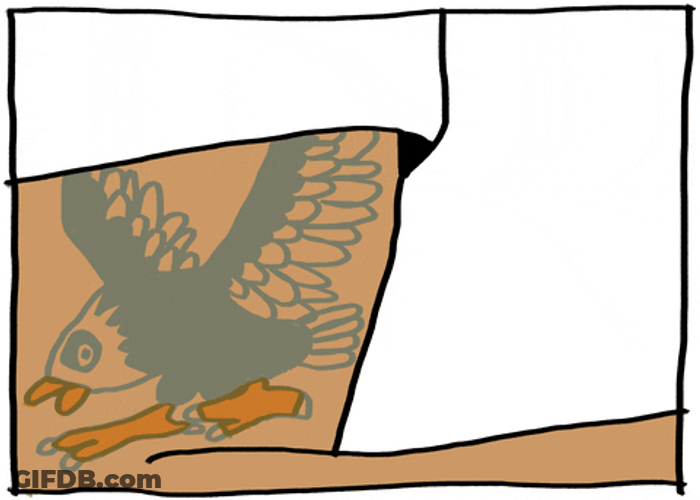 Artistic Hawk Tattoo GIF