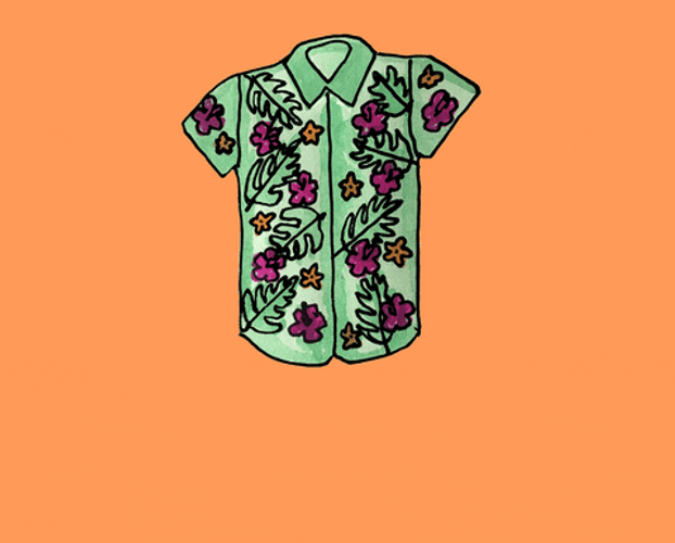 Artistic Shirt Aloha Friday GIF