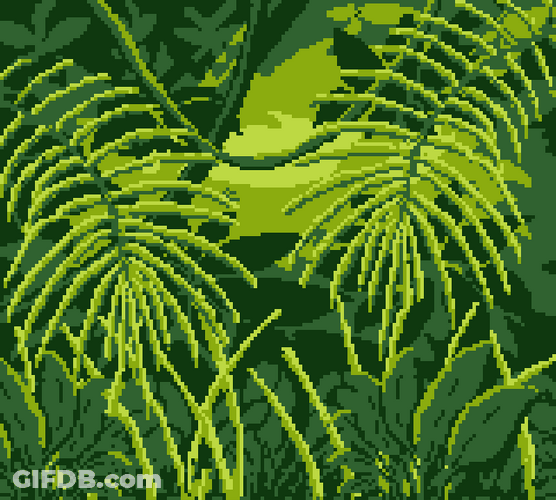 Artsy Green Fern Plant Moving GIF