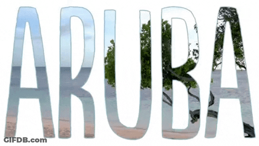Aruba Beach Travel Vacation GIF