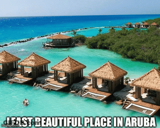 Aruba Caribbean Beach GIF