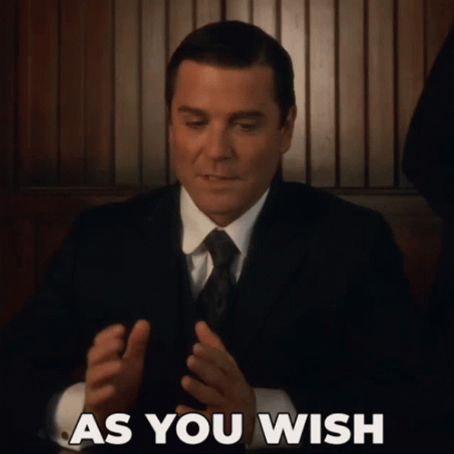 As You Wish Canadian Actor Yannick Bisson GIF
