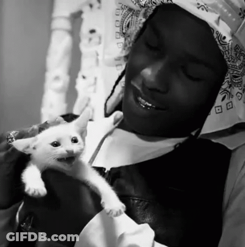 Asap Rocky Head Patting Kitten GIF