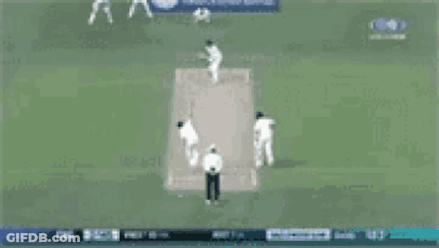 Ashes Cricket GIF