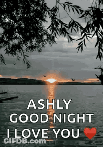 Ashly Good Night I Love You With A Picture Of A Lake GIF