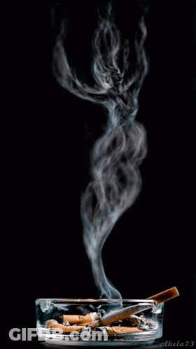 Ashtray With Cigarette And Smoke GIF