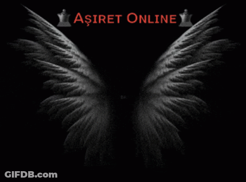 Aşiret Online GIF