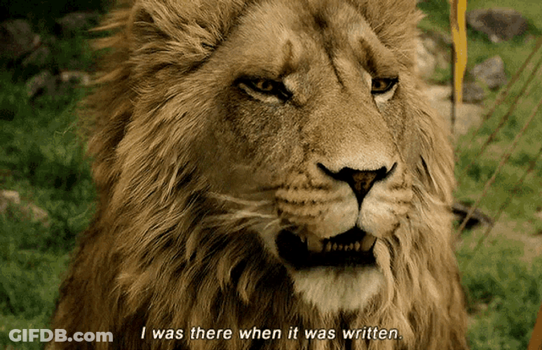 Aslan I Was There When It Was Written GIF