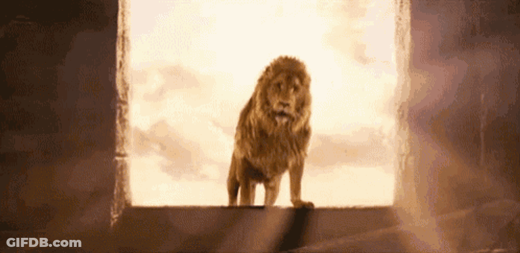 Aslan Lion GIF