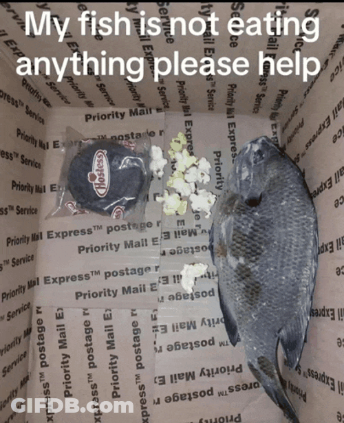 Assalomu Alaykum Meme GIF