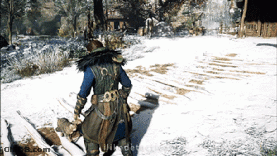 Assassin's Creed Valhalla Kassandra Cat GIF