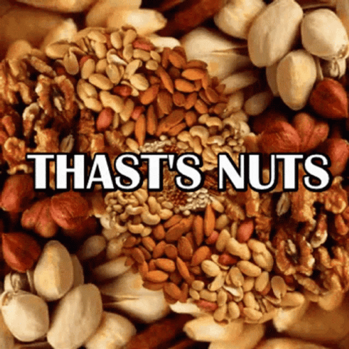 Assorted Nut In One Frame GIF