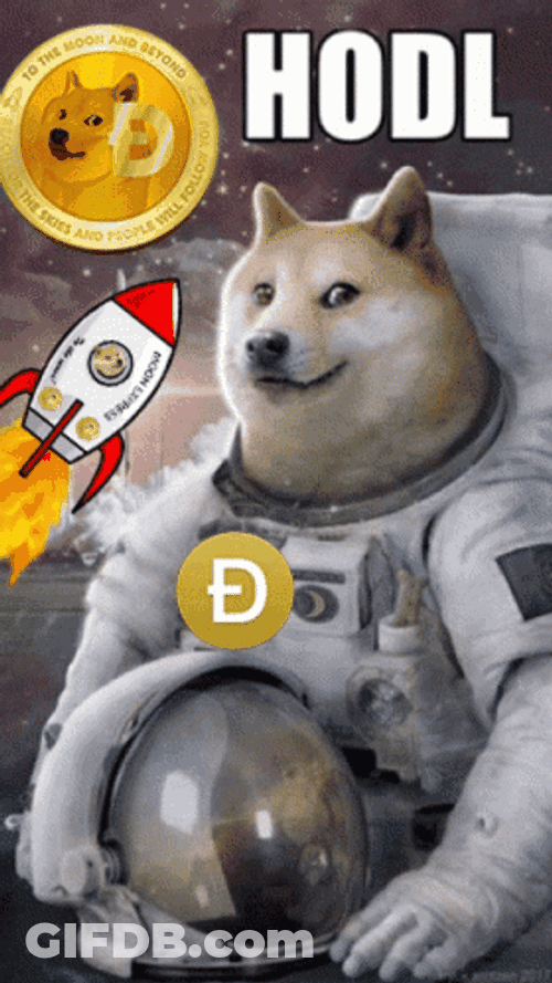Astronaut Shiba Inu Hodl GIF