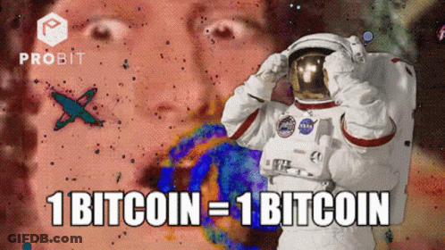 Astronaut With 1 Bitcoin Equals 1 Bitcoin GIF