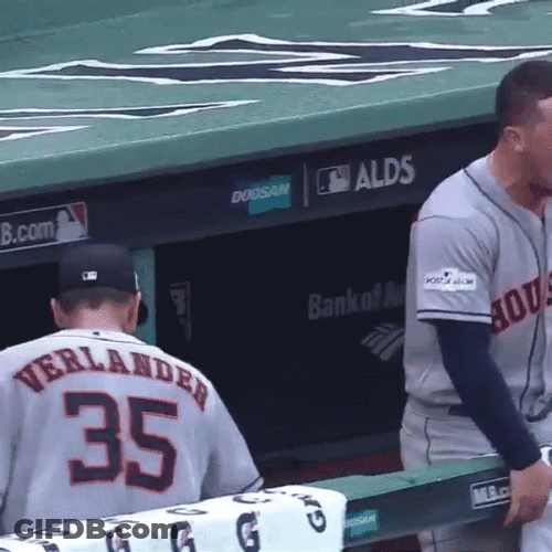 Astros Alex Bregman Frantic Celebration GIF
