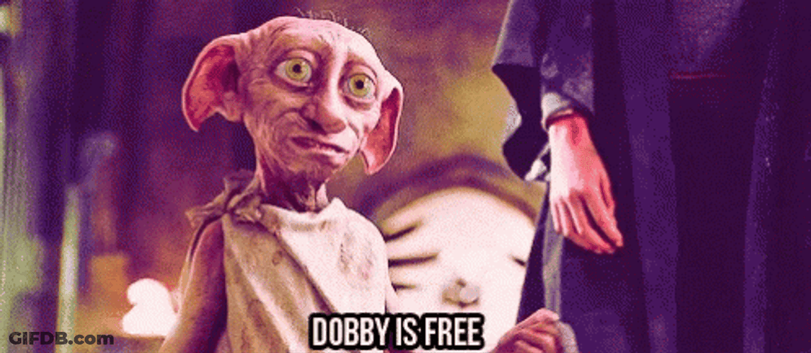 At Last Dobby Is Free GIF