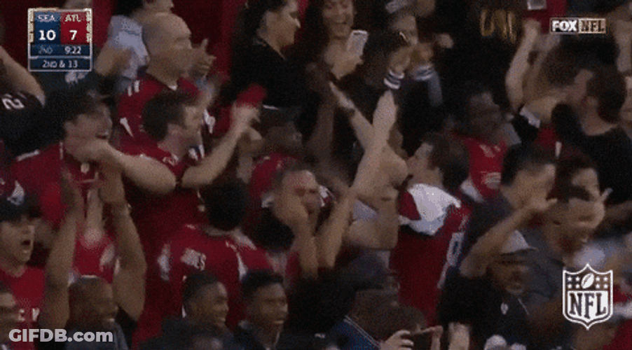 Atlanta Falcons Fans Going Wild In Crowd GIF