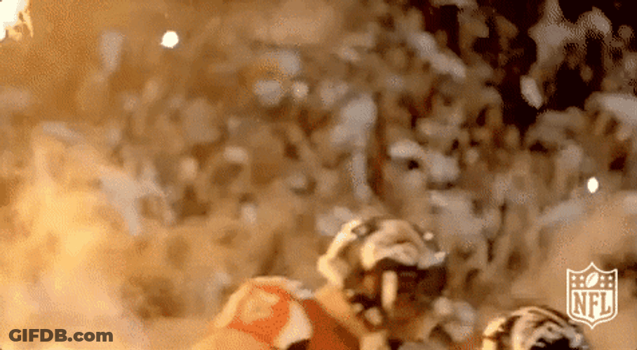 Atlanta Falcons Fired Up Victory GIF